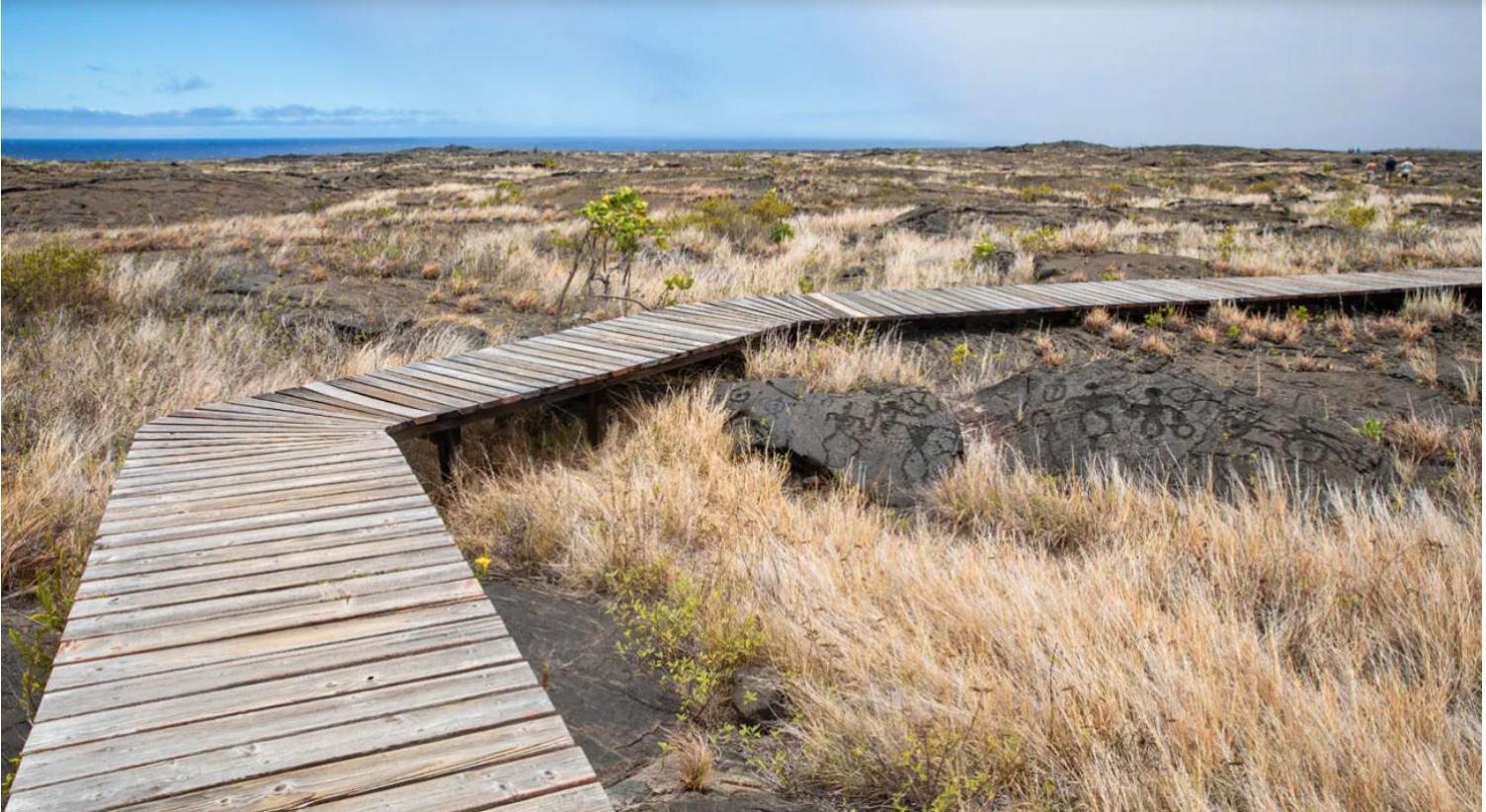 Volcano One - Modern Studio With Lanai Near Volcano National Park Kültér fotó